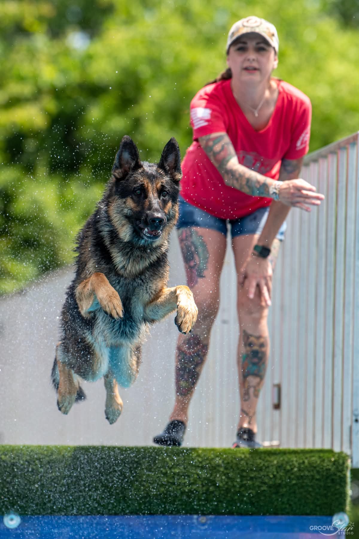 Dog jumping into the water during a dock diving qualifying jump