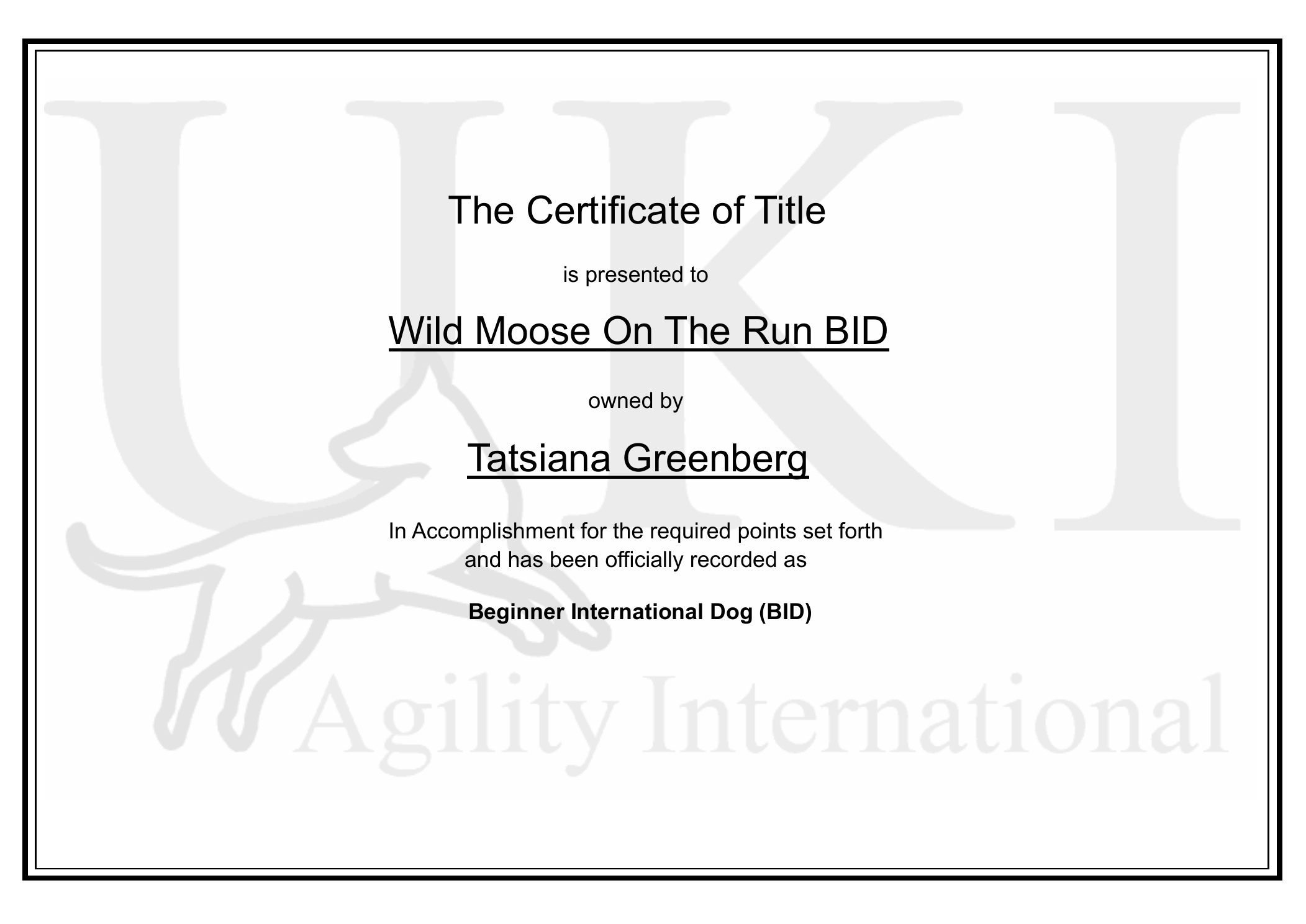 UKI Beginner International Dog title certificate for Wild Moose On The Run BID