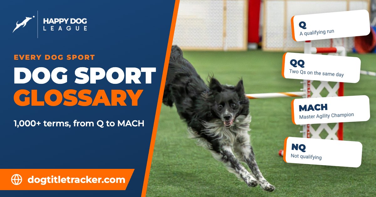 Dog Agility Terms and Dog Sport Glossary